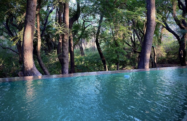 Nature and Wildlife Resort