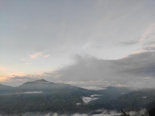 Nature Heaven Homestay