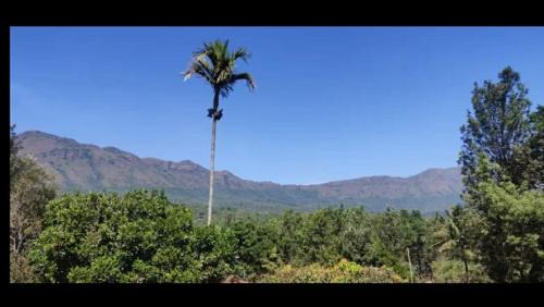 Nature Inn stay