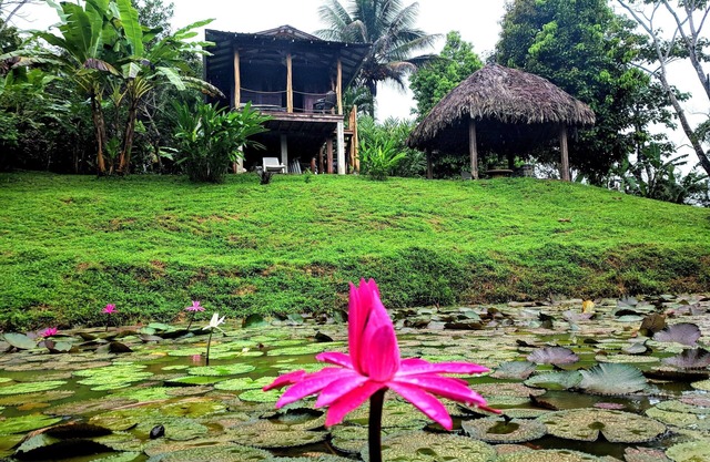 Nature Lovers Cabin by Bluff Beach, beautiful garden with pond and wildlife !