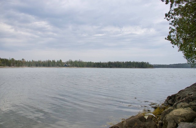 NEW 2-bedroom Oceanfront house with WiFi, AC, 15 min from Schoodic Peninsula!