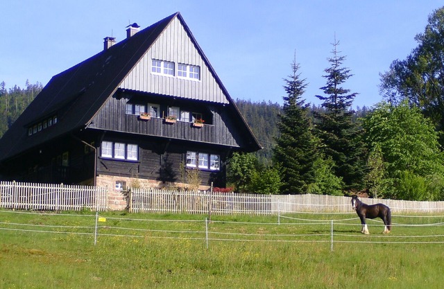 New! Apartment Eulennest in an idyllic forester's lodge, individual and chic