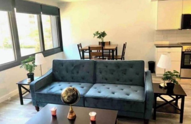 New Cozy exquisite condo in downtown Silver Spring