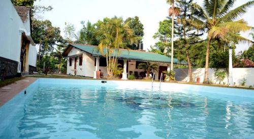 New Greenish Villa