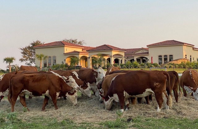 NEW Hacienda Ranch W/Resort Style Pool