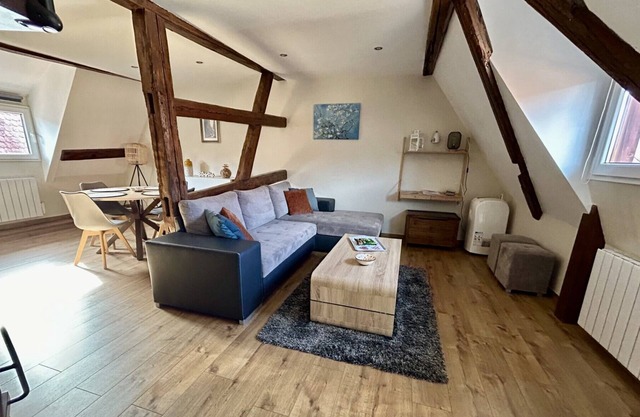 New ! Les Toits du Rempart * in the heart of Eguisheim