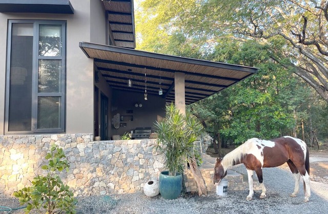 New Loft Barndo w/AC at Big Sky Stables near epic beaches, horses and pickleball