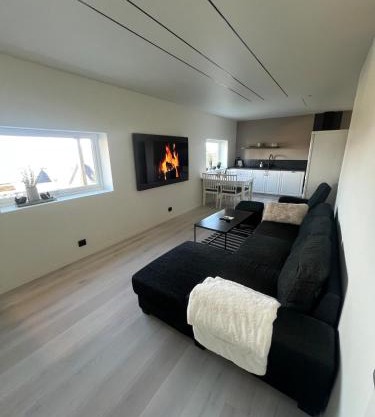 New Modern Apartment in Senja