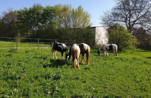 NEW! Tinkerhof apartment near Bingen