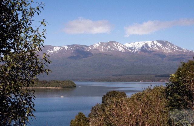 New White Water Lodge 二 Turangi