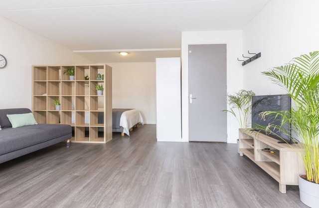 Newly build Loft heart city center Delft