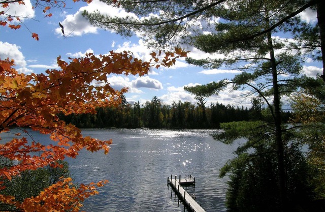 Newly Renovated Cute Cottage on Crooked Lake - aka, Baby Bear
