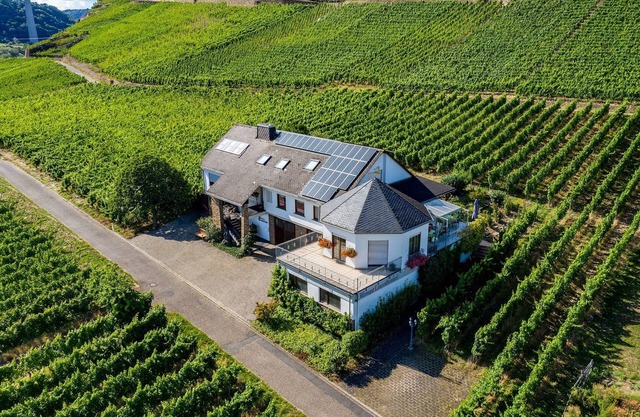Newly renovated vacation apartment in the winery.