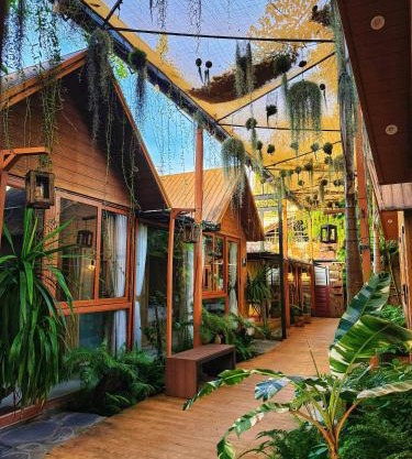 Nhà Của An Homestay, Coffee & Spa Long Xuyên