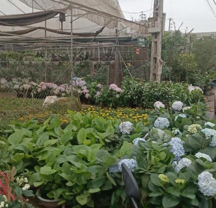 Nhà Trọ Quang Hưng