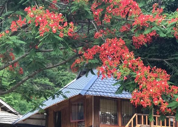 Nha Tan - Mai Chau Homestay and Tours