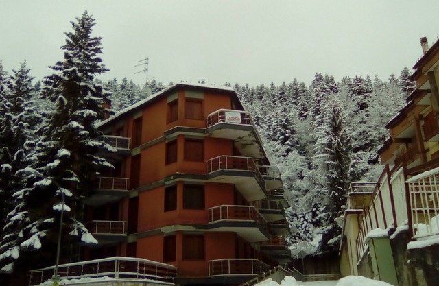 Nice apartment covered in wood in the center of Roccaraso