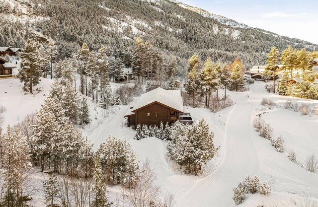 Nice home in Vrådal with kitchen