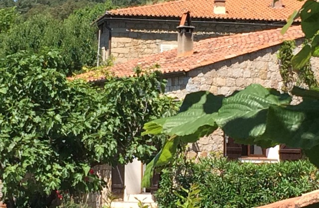 Nice house with view