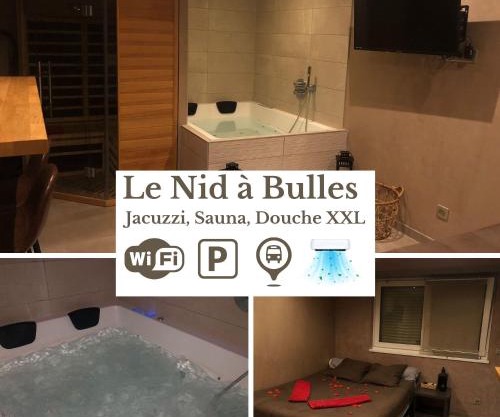 Nid à bulles - Loft 35m2 sauna jacuzzi 10min centre Strasbourg