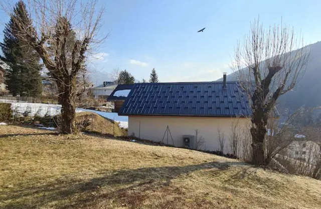 Nid Douillet center of villard de lans
