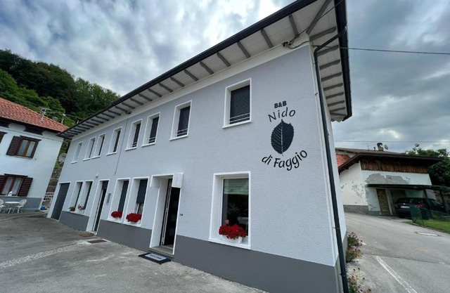 Nido di Faggio