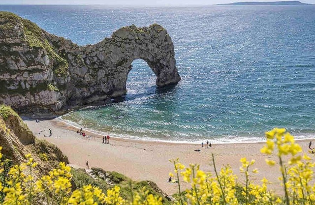 Nightjar Cabin at Cloudshill Glade