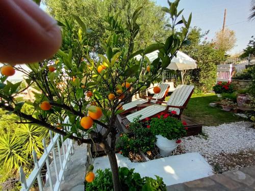 Nikos Stone House 80m from the beach with wifi