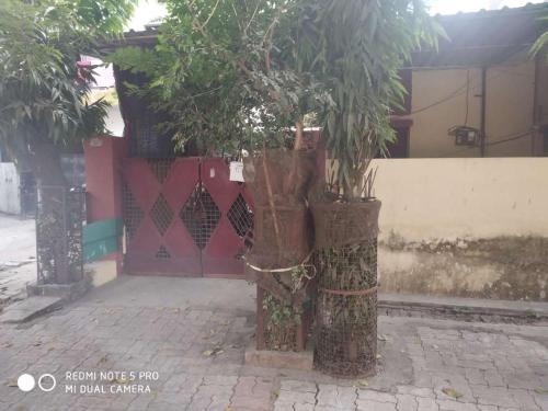 Nirmal House