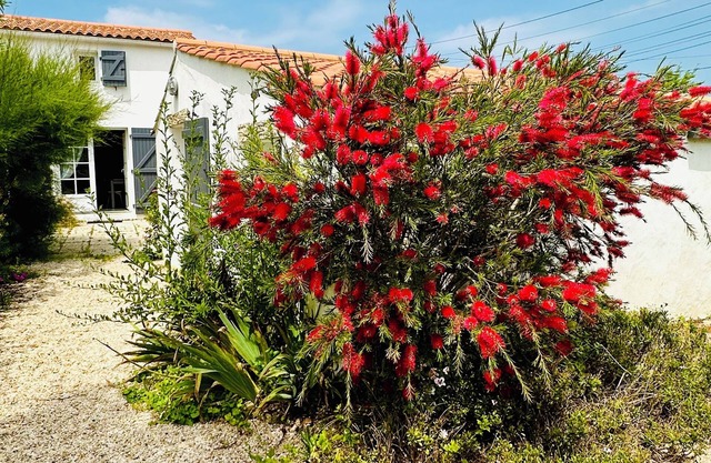 Noirmoutier Island. 500m from the beach. Impasse. Calm. Garden not overlooked.