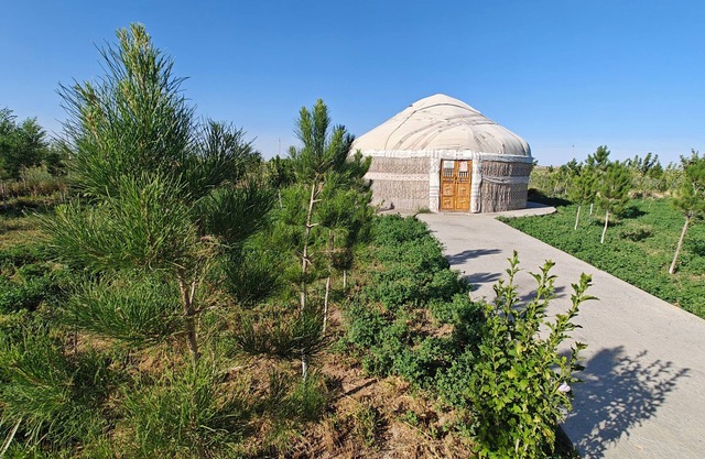 Nomad Island Bukhara