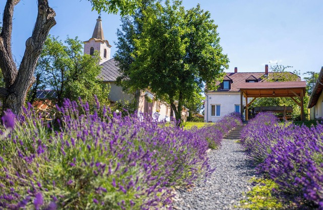 Nora Guest House, Nagygörbő, Hungary