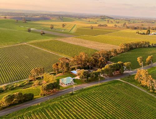 Norm's Vineyard Retreat