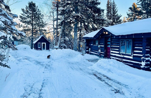 North Shore Tiny Log Cabin Retreat