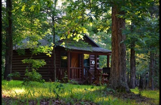 Northern Broken Bow Lake Cabin