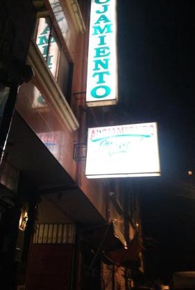 Nueva Alianza