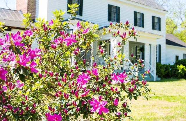 Oak Grove Bed and Breakfast
