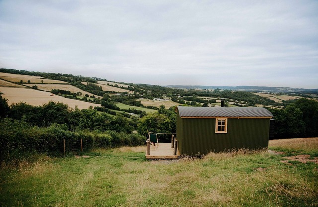 Oak Shepherds Hut, Wiveliscombe