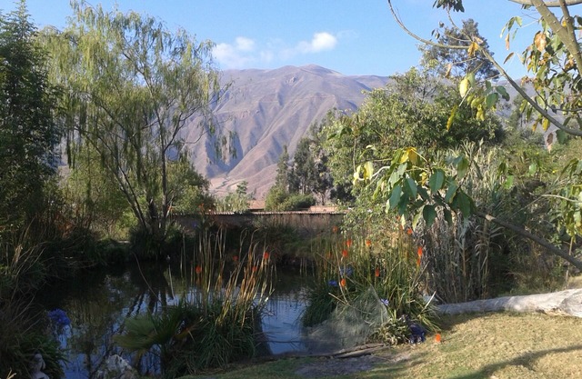 OASIS 1 VALLE SAGRADO