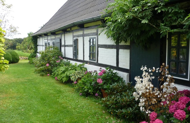 Oasis of calm near the Baltic Sea