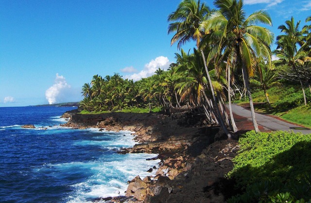 OCEAN View large home close to BEACH on 3 private landscape acres.nnnn