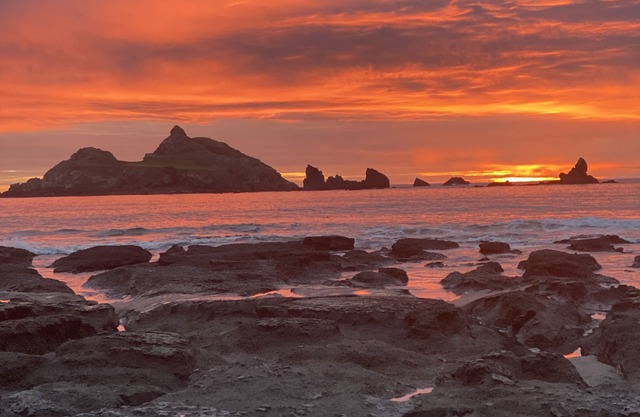 Oceanfront, Amazing Sunsets, Whales, Surfing, Biking, Short walk to beach