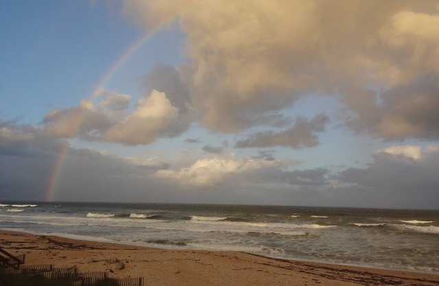 Oceanfront Hideaway PVB, Gorgeous Oceanfront