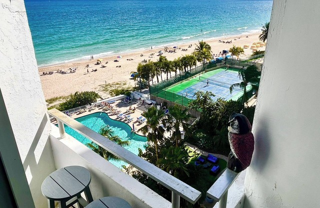 Oceanfront Luxury Renovated Resort Getaway!