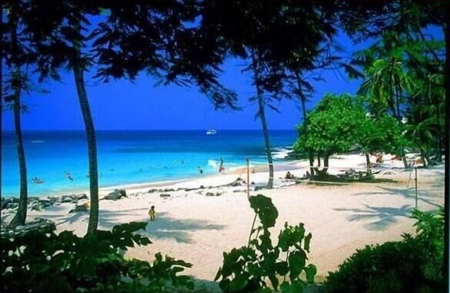 Oceanfront Luxury Condo Closest to Beach