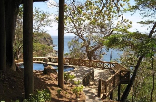 Oceanfront Tree House