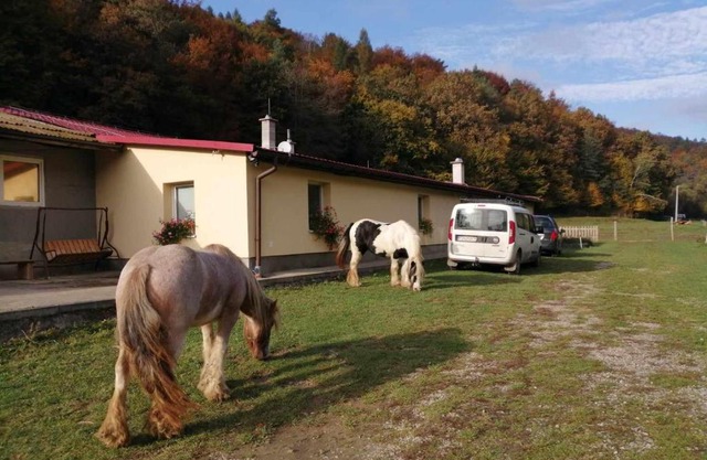 Oddychový pobyt na rodinnej farme