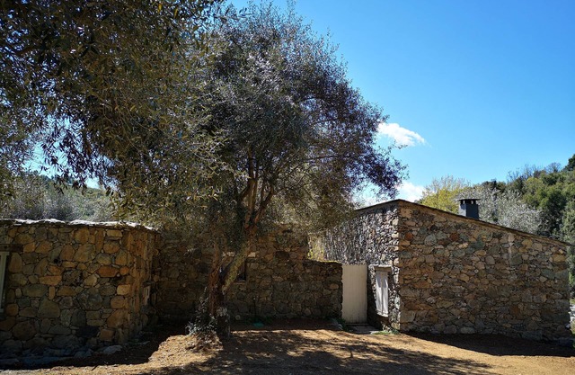 Old stone sheepfold completely renovated 2 steps from Corte