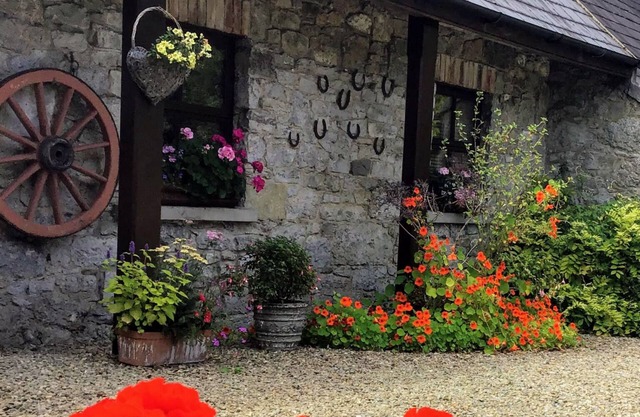 Old World Charm Country Cottage Near Adare
