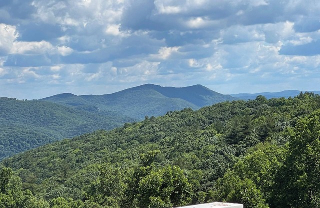 Olde Beau Golf/Blue Ridge Mountains Golf/Resort 1BR 1BA Condo PET FRIENDLY!